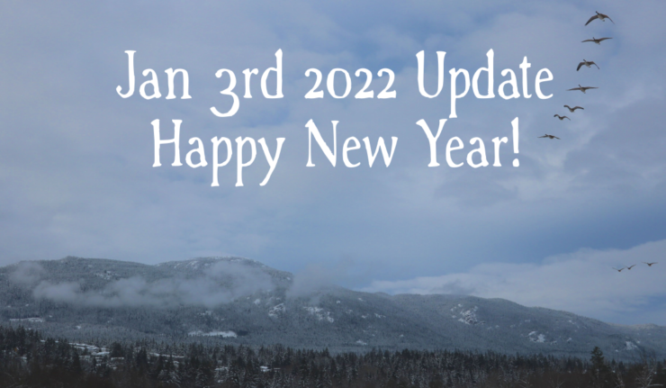 Jan 3rd 2022 - Update and Happy New Year